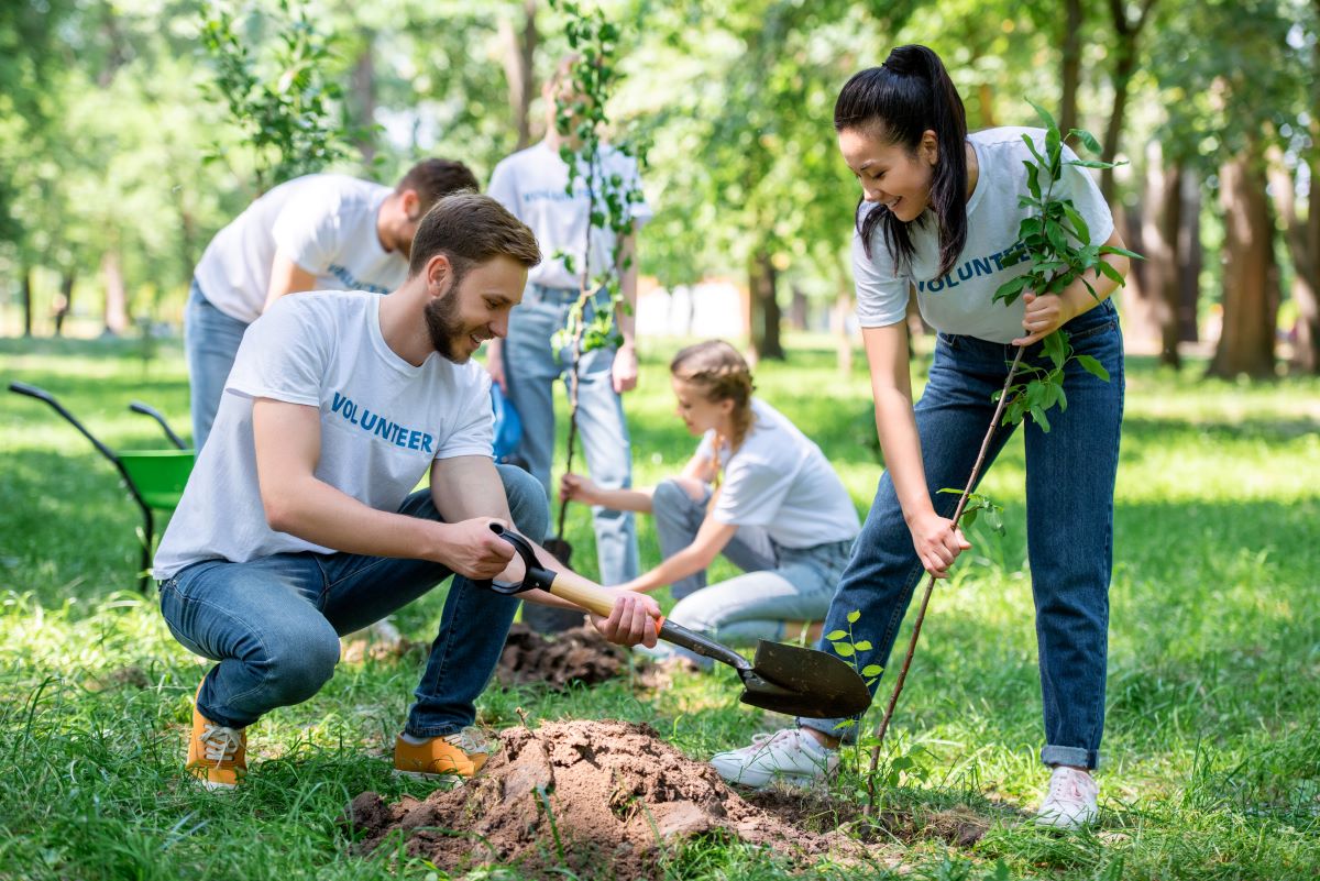 HR professionals plant a tree for national volunteer month